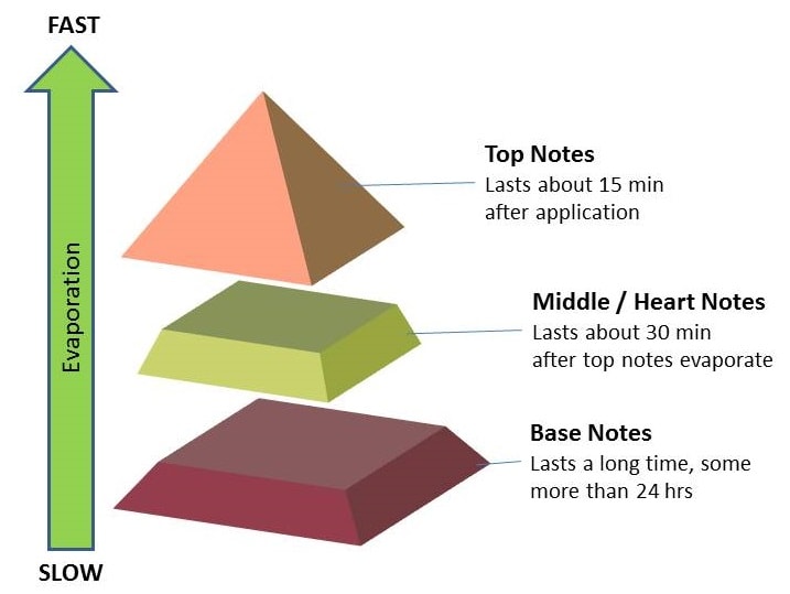 the three types of scent notes for fragrances