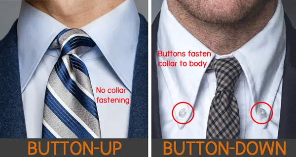 difference between button down and button up shier