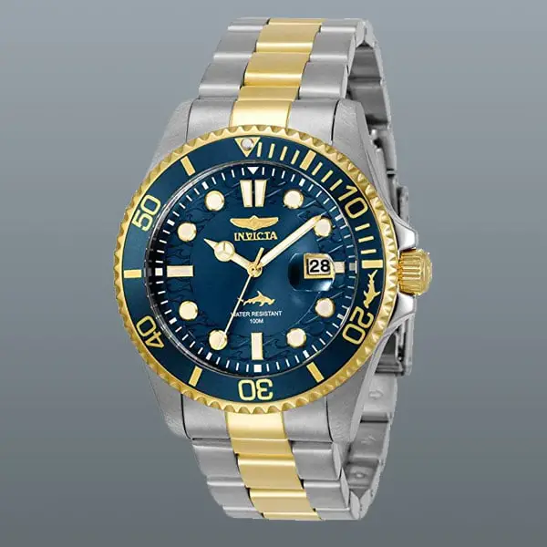 Invicta Men's Pro Diver