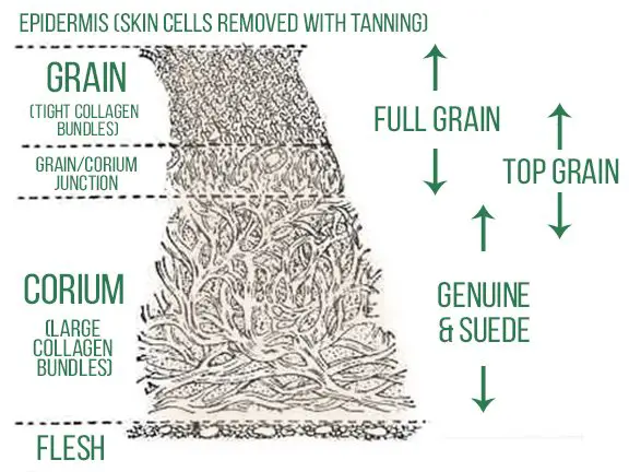 types of leather grain